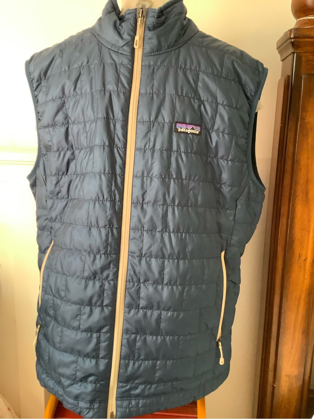 Men's Patagonia Vest
